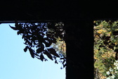 Enlarge photo 190