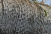 Enlarge photo 196