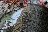 Enlarge photo 198