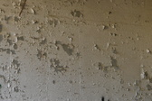Enlarge photo 205