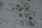 Enlarge photo 204