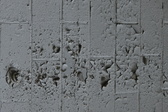 Enlarge photo 203