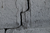 Enlarge photo 206