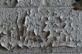 Enlarge photo 210