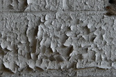 Enlarge photo 217