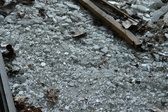 Enlarge photo 216