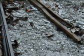 Enlarge photo 215