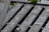 Enlarge photo 219
