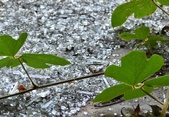 Enlarge photo 218