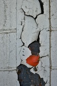 Enlarge photo 225
