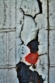 Enlarge photo 224