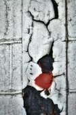 Enlarge photo 223