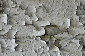 Enlarge photo 222