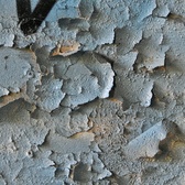 Enlarge photo 228