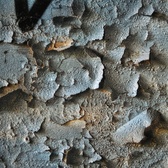 Enlarge photo 227