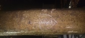 Enlarge photo 264