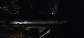 Enlarge photo 262