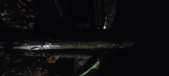 Enlarge photo 261
