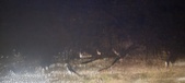 Enlarge photo 259