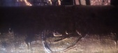 Enlarge photo 257