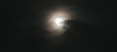 Enlarge photo 221