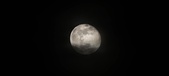 Enlarge photo 210