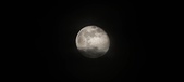 Enlarge photo 209