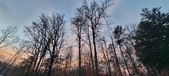 Enlarge photo 174