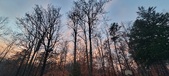 Enlarge photo 173