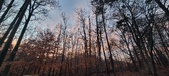 Enlarge photo 170