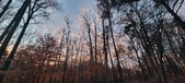 Enlarge photo 168
