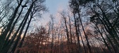 Enlarge photo 167
