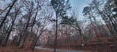 Enlarge photo 166