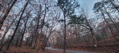 Enlarge photo 165