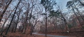 Enlarge photo 164