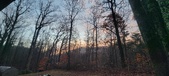 Enlarge photo 163