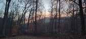 Enlarge photo 162