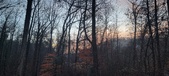 Enlarge photo 161