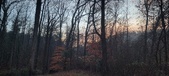 Enlarge photo 160
