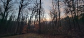 Enlarge photo 159