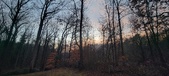 Enlarge photo 158