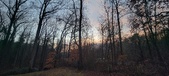 Enlarge photo 157