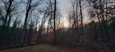 Enlarge photo 156