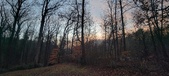 Enlarge photo 155