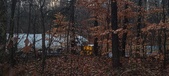Enlarge photo 152