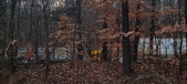 Enlarge photo 151
