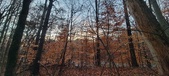 Enlarge photo 149