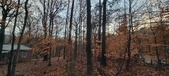 Enlarge photo 148