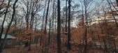 Enlarge photo 147