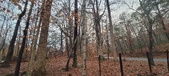 Enlarge photo 146